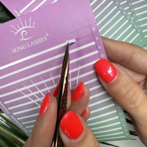 Promade tartó paletta (5 lap)